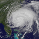 Illustration for article titled Hospital Inundated With Births During Hurricane Irene